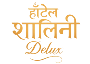 hotel shalini